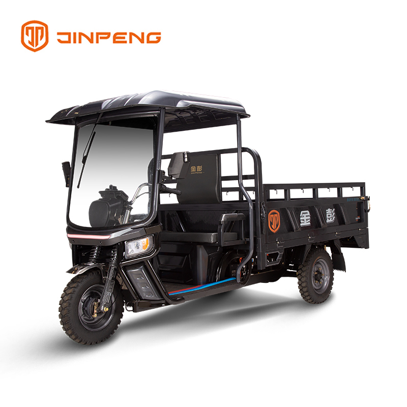 Tricycle de cargaison électrique C-HA180QP