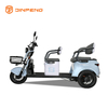 Tricycle de loisirs électrique N8