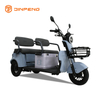Tricycle de loisirs électrique N8