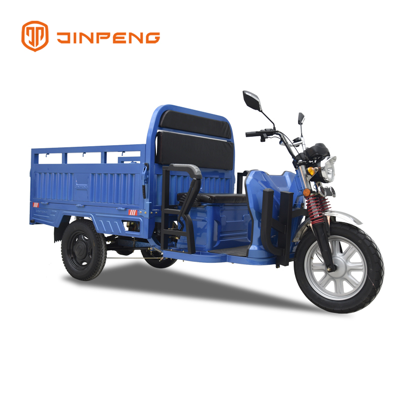 Tricycle cargo électrique Ql150 D1