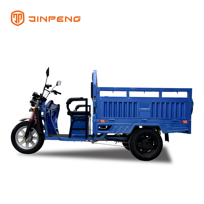 Tricycle cargo électrique Ql150 D1