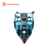 Tricycle de cargaison électrique TY150UK
