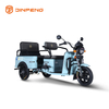Tricycle de cargaison électrique fy