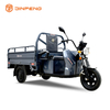 Tricycle de cargaison électrique C-ZJ150