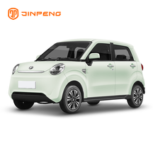 Voiture électrique à basse vitesse RG-R