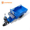 Tricycle cargo électrique JG160