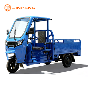 Tricycle cargo électrique JG160P